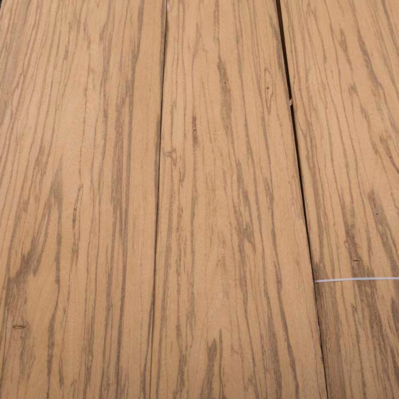 白榄仁木山直纹统级