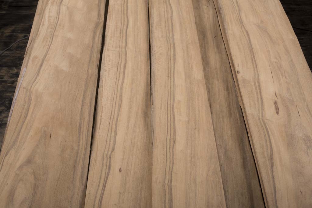 白榄仁木山直纹统级