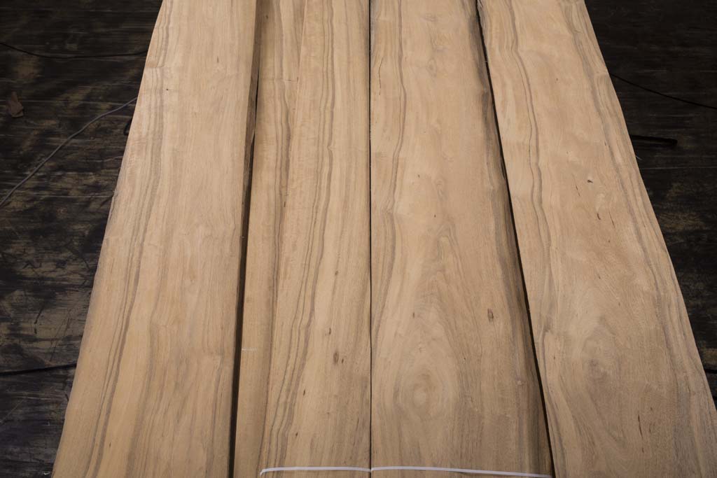 白榄仁木山直纹统级