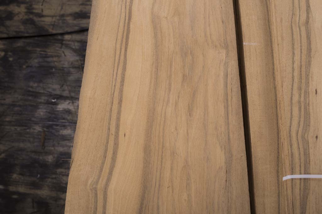 白榄仁木山直纹统级