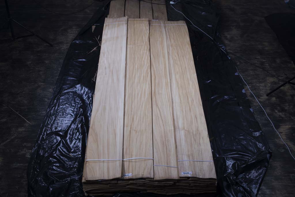 艳阳花木皮直纹