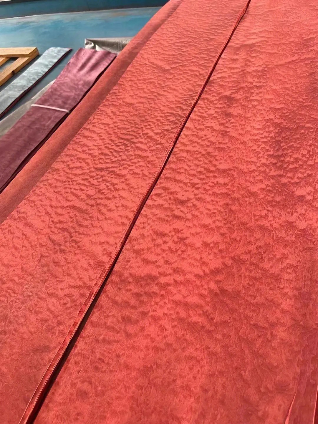 染色沙比利球纹