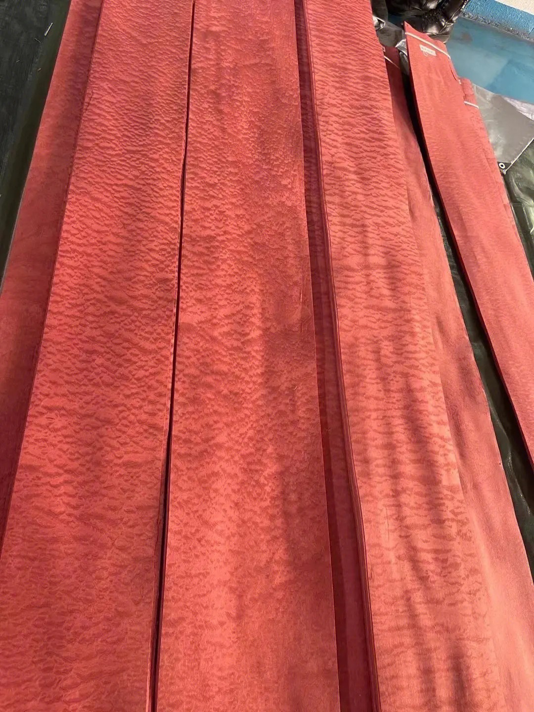 染色沙比利球纹