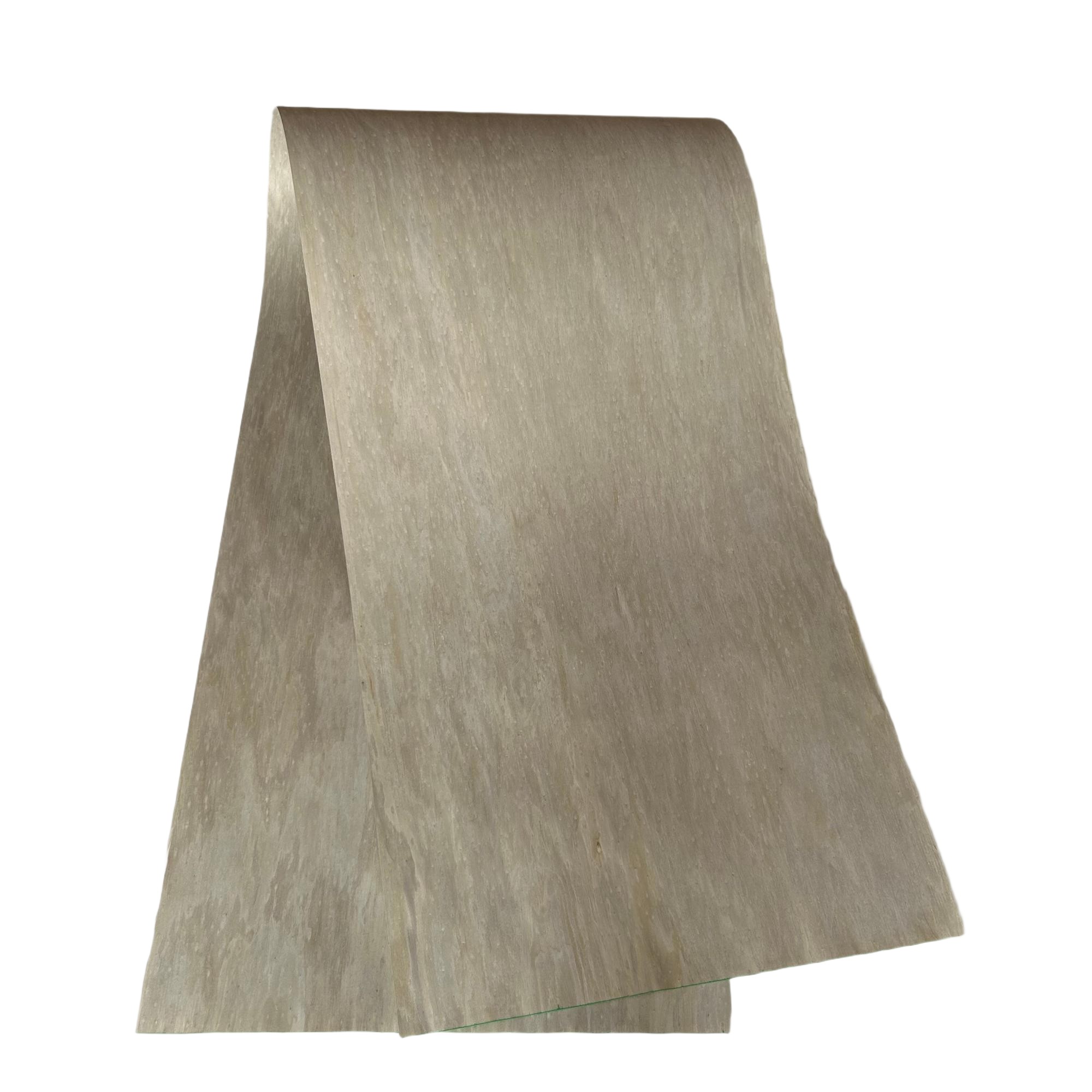 灰雀眼科技木皮